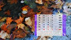 برنامه کلینیک تخصصی مهدی شهر (24 الی 30 آذر 1403)